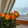 Apartment Seacliff Cape Town - Apt 35457